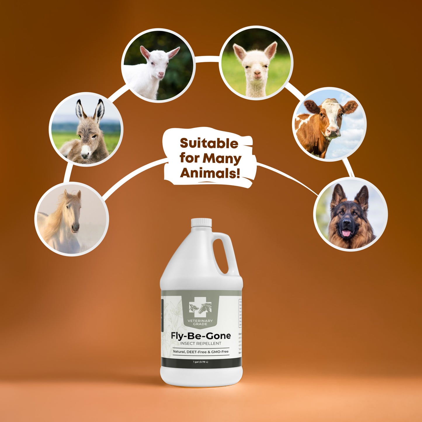 Fly-Be-Gone Natural Insect Repellent Solution (1 gallon)