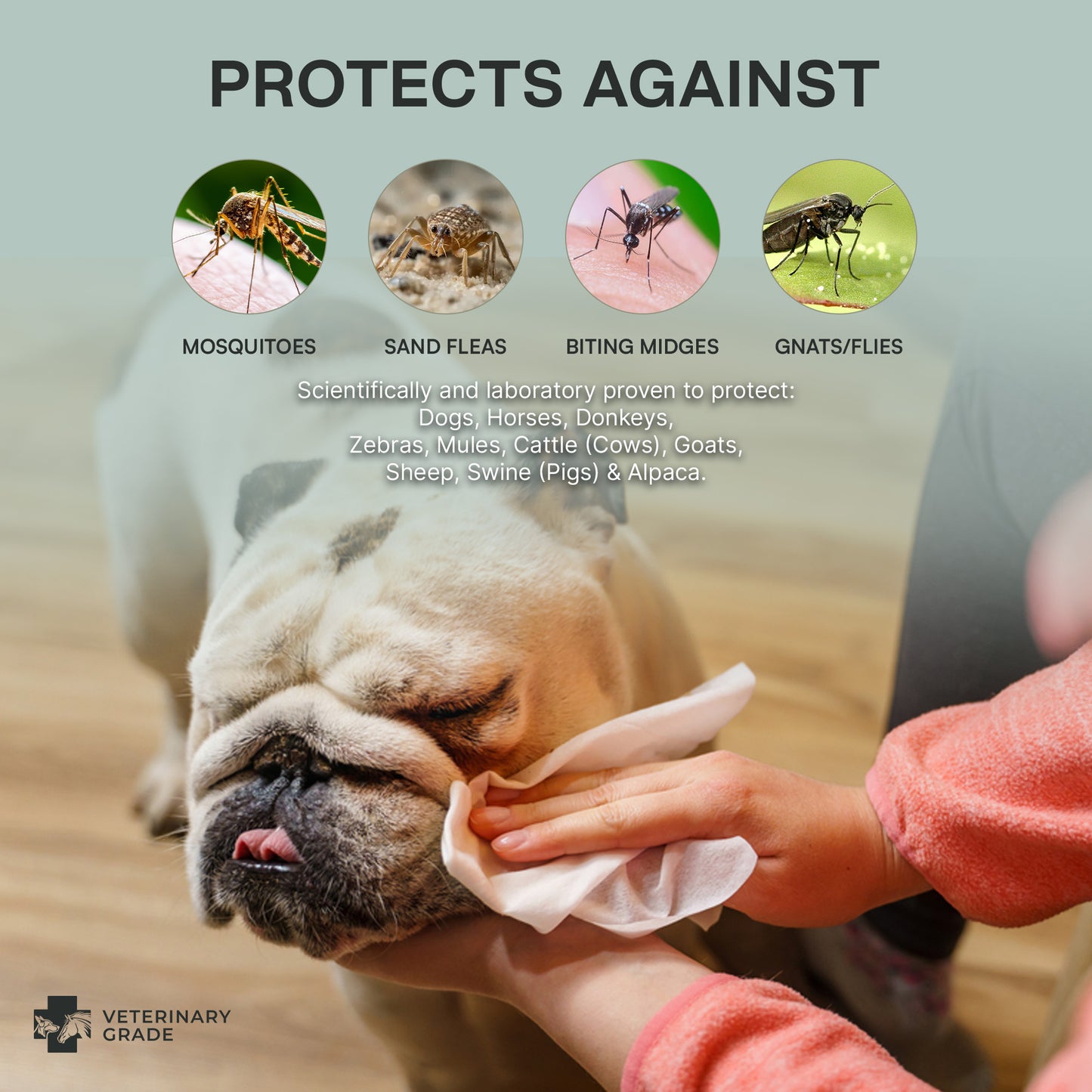 Fly-Be-Gone Natural Insect Repellent Wipes