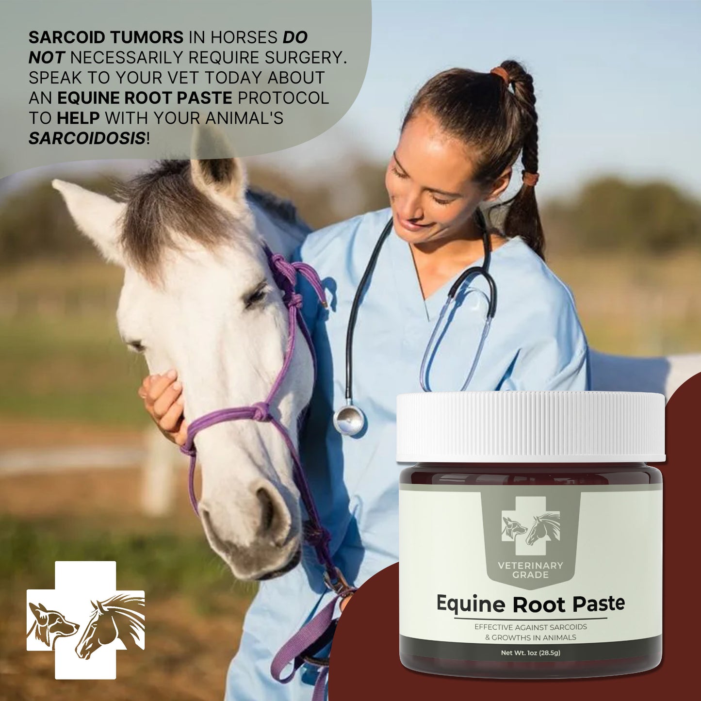 Veterinary Grade Bloodroot Paste (1oz)