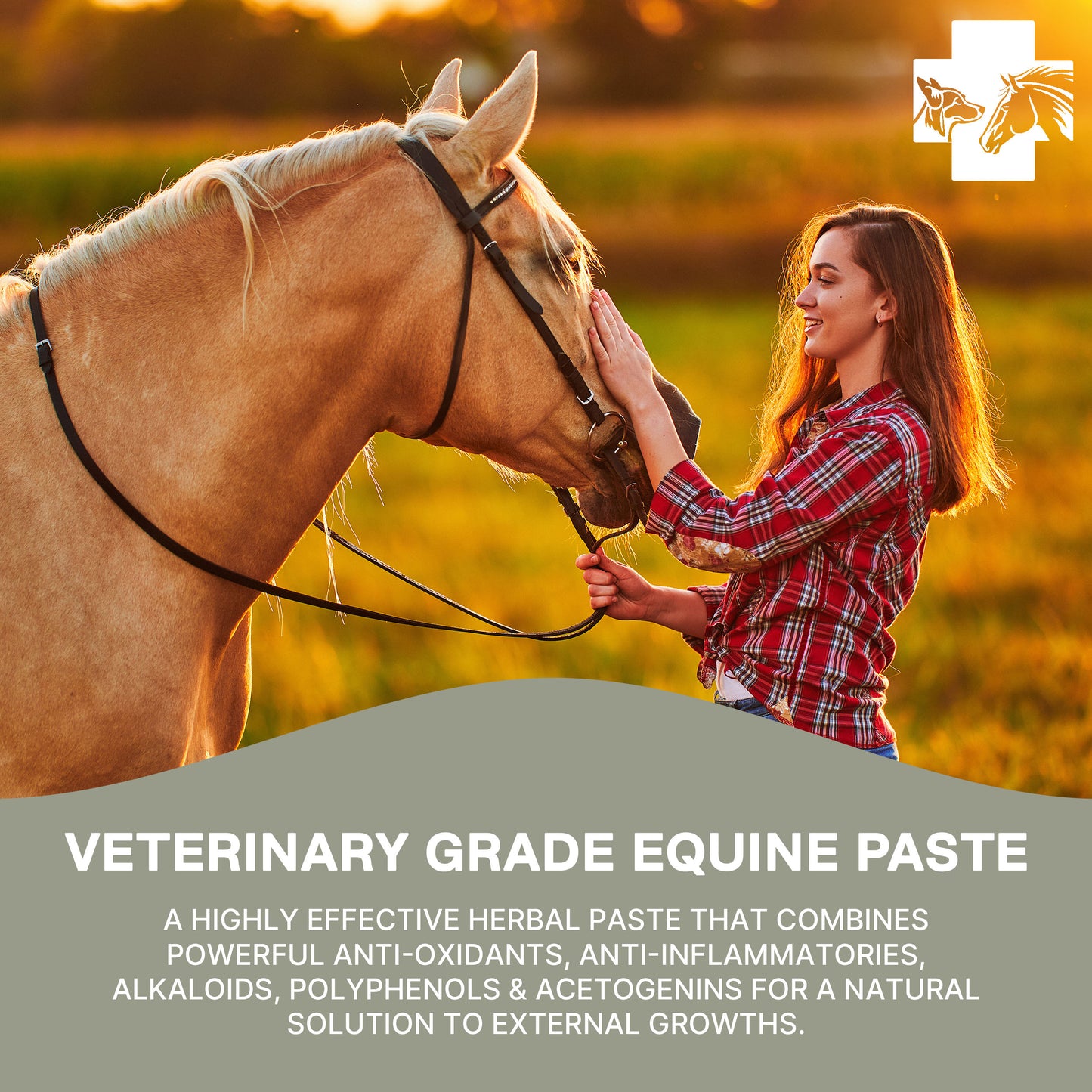 Veterinary Grade Bloodroot Paste (1oz)