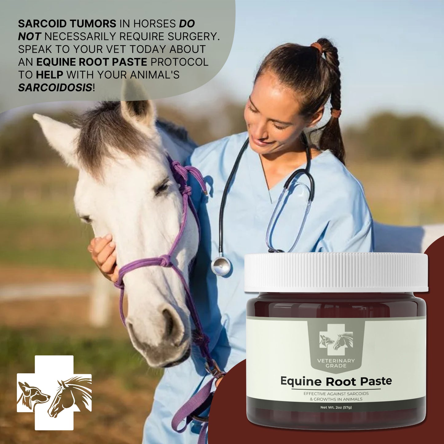 Veterinary Grade Bloodroot Paste (2oz)