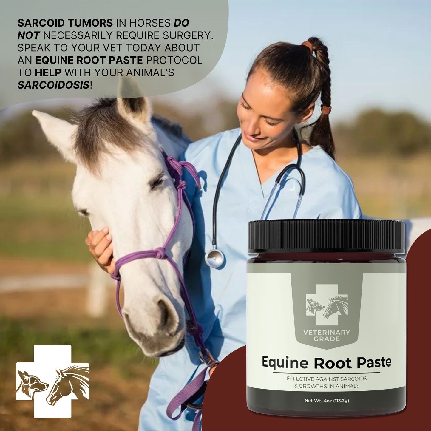 Veterinary Grade Bloodroot Paste (4oz)