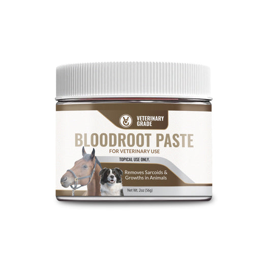 Veterinary Grade Bloodroot Paste (2oz)