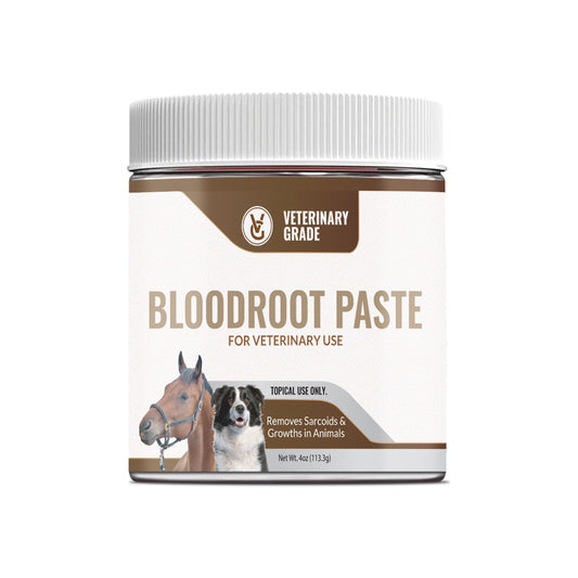 Veterinary Grade Bloodroot Paste (4oz)